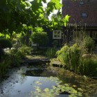 Tuin met vijver