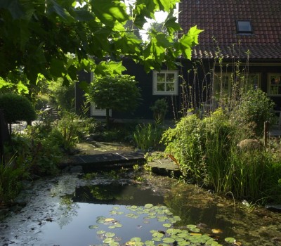 Tuin met vijver